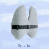 OrtoLumb - Lændepude